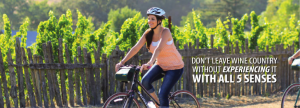 fitness in Napa Valley