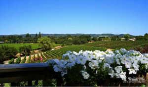 Sonoma Wine Country Healdsburg at its Heart