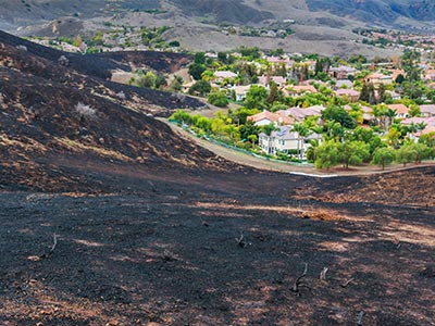 Firescaping Napa Valley California